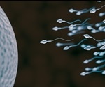 Motile Sperm Cells