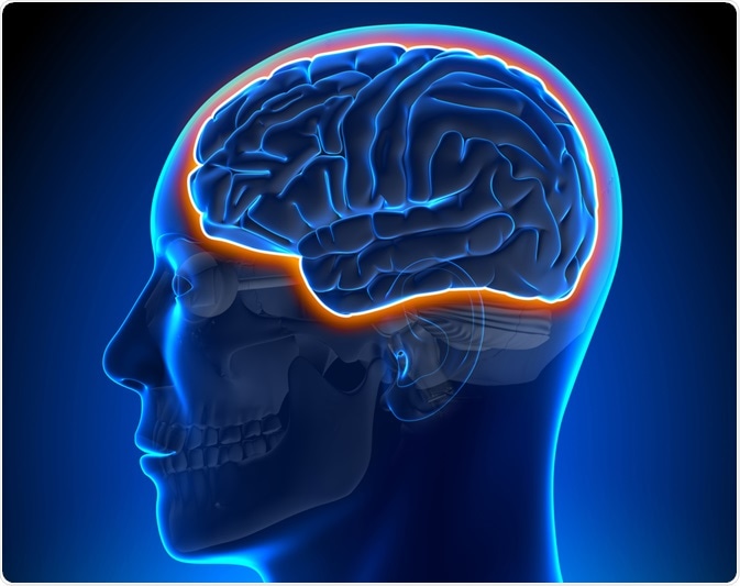 Kan-Beyin Bariyeri nedir?
