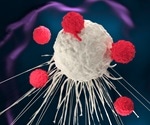 Adoptive T Cell Therapy Methodology