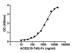 Binding of ACE2 (19-740) Protein (A51C2-G341F) to immobilized 2019-nCoV spike protein S1 (P681H) (C19S1-G232H) was determined by functional ELISA.