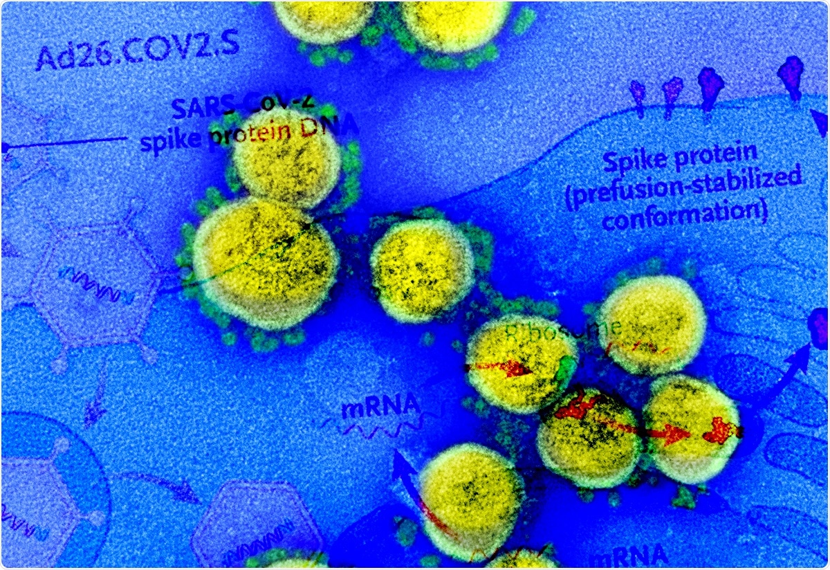 Study: Safety and Efficacy of Single-Dose Ad26.COV2.S Vaccine against Covid-19. Image Credit: NIAID and NEJM