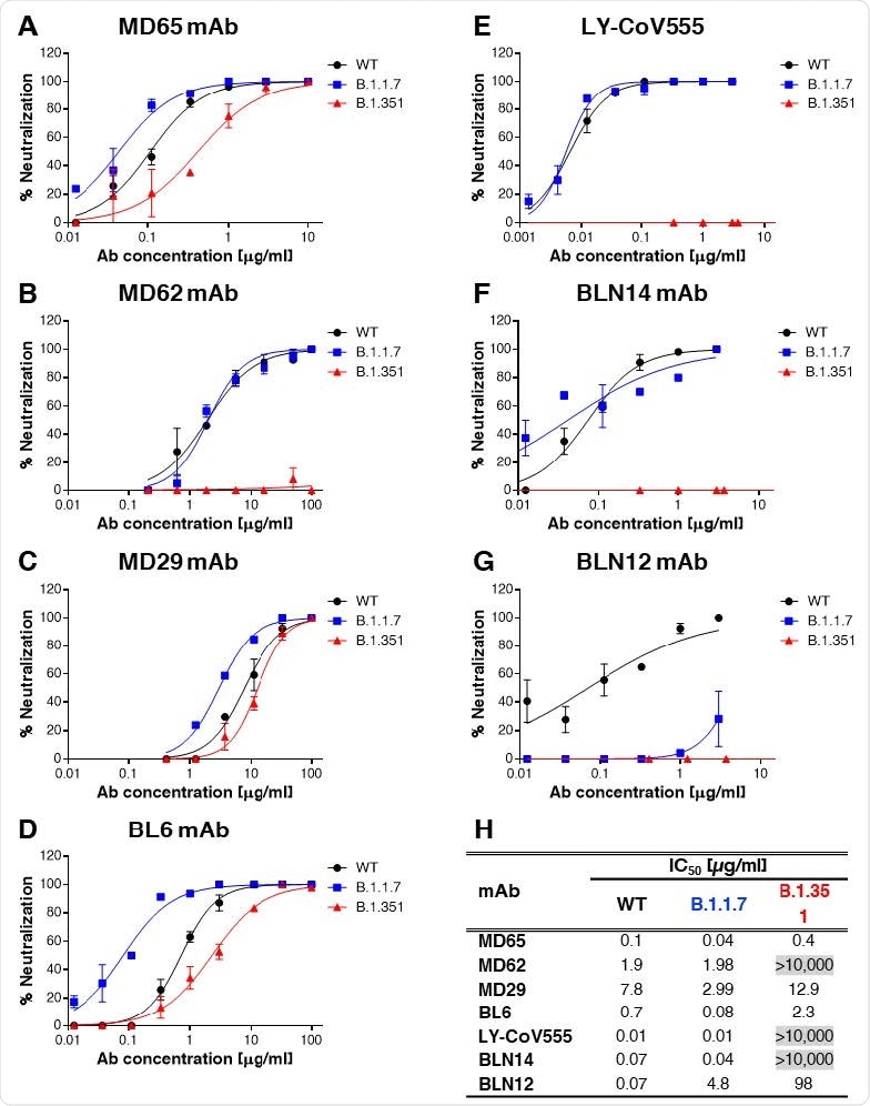Neutralization of SARS-CoV-2 B.1.1.7 and B.1.351 genetic variants by RBD and NTD-specific mAbs. Neutralization capacity of the RBD-specific mAbs: MD65 (A), MD62 (B), MD29 (C), BL6 (D) and LY-CoV555 (E), and of the NTD-specific BLN14 (F) and BLN12 (G) mAbs, was evaluated by plaque reduction neutralization test (PRNT). The in vitro neutralization of each of the listed mAbs, was assessed against both SARS-CoV-2 B.1.1.7 (blue) and B.1.351 (red) variant, compared to WT SARS-CoV-2 strain (black). Neutralization potency was determined by the ability of each antibody (at indicated concentrations) to reduce plaques formation; results are expressed as percent inhibition of control without Ab. The figure includes a representative graphs of at least two independent repeats of each experiment, yielding similar results. H. Summary of the calculated IC50 values [µg/ml]. IC50 >10,000 indicates complete loss of neutralization capacity, emphasized by gray shading.