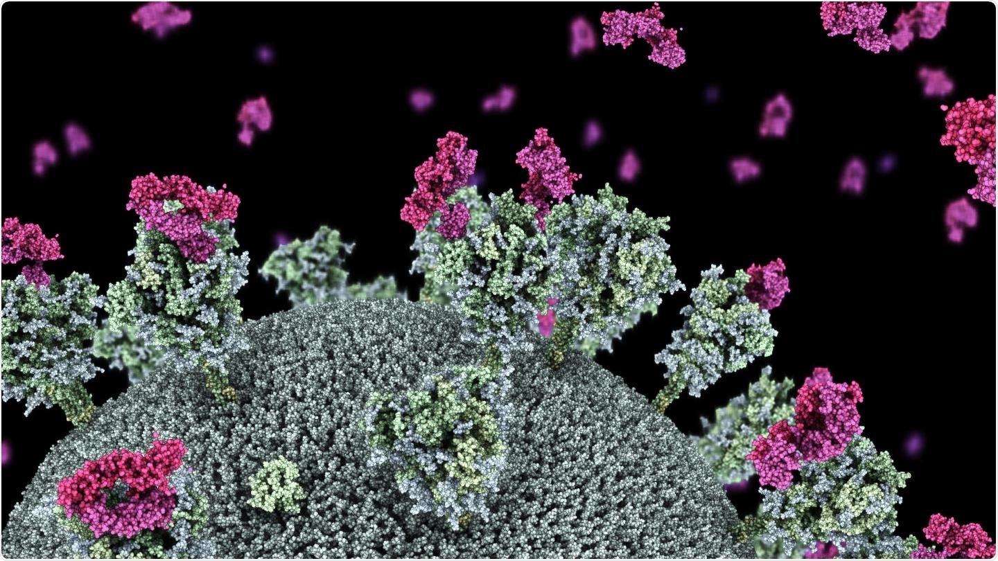 Visualization of SARS-CoV-2 virus with nanobodies (purple) attaching to the virus