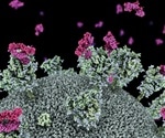 Nanobodies neutralize SARS-CoV-2 in pre-clinical model