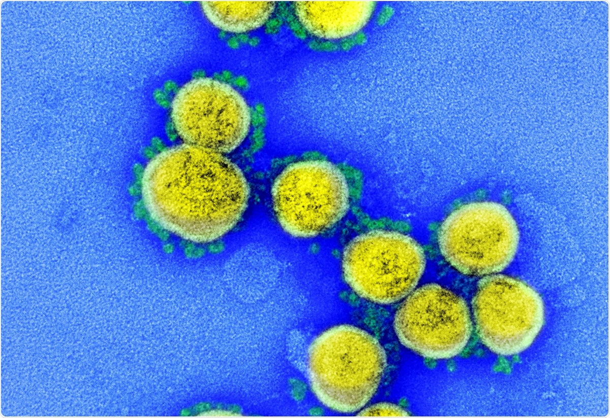 Study: Effects of BNT162b2 mRNA vaccine on Covid-19 infection and hospitalisation among older people: matched case control study for England. Image Credit: NIAID