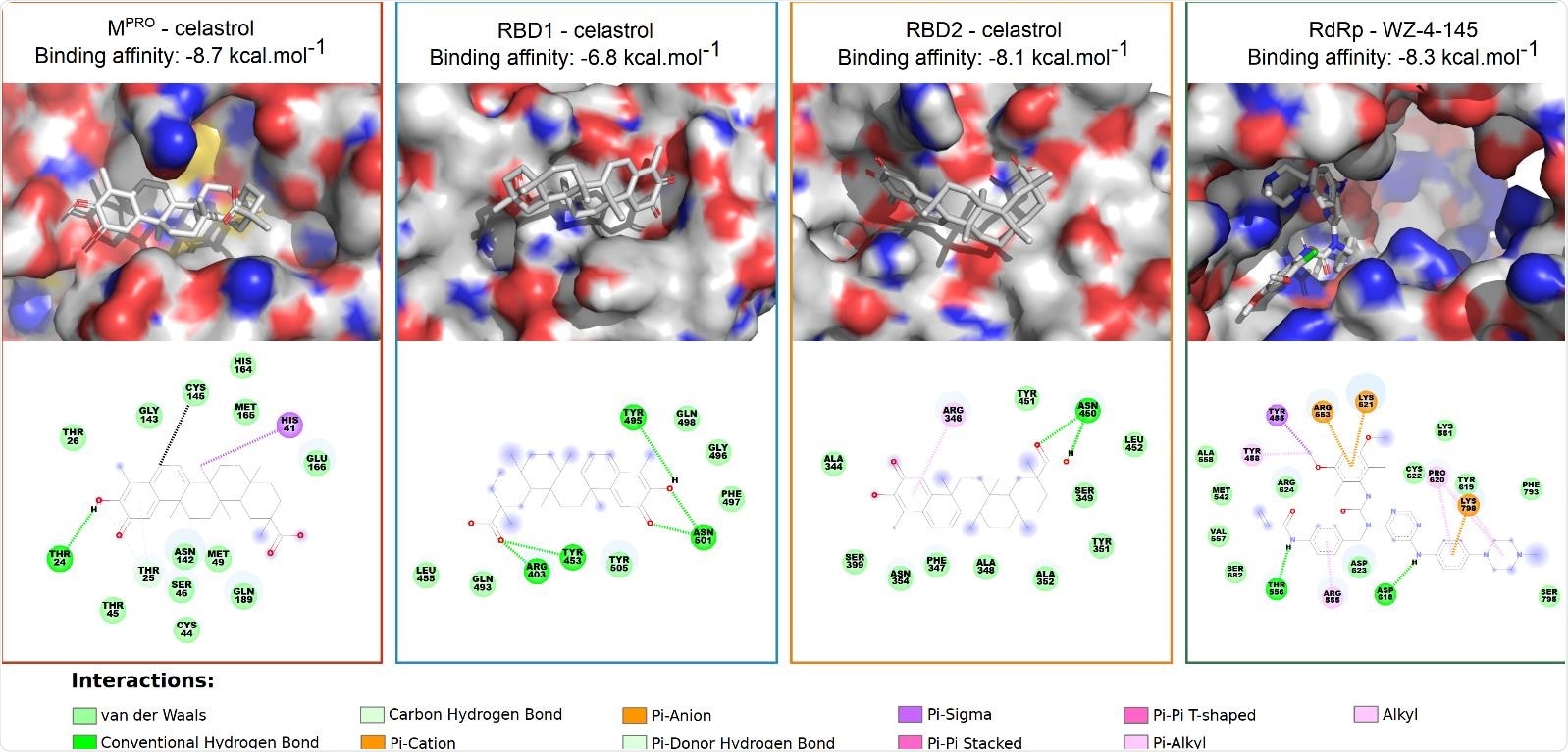 Detailed chemical interactions between the best-ranked drugs and inhibition sites of SARS-CoV-2 molecular targets. 2D target-drug interaction diagrams for the best structural configurations of viral molecular targets was determined using the Discovery Studio® software (version-2020). Celastrol had the most attractive ΔGbind median values of affinity energy to three targets (Mpro, RBD1, and RBD2) and WZ-4-145 to one (RdRp). The distance between the B-ring C6 and the sulfur atom of the Cys145 residue, which may be related to a possible Michael adduct formation for the best energy poses in each Mpro structure, ranged from 0.43 to 1.33 nm, with average value of 0.63 nm (black dashed line).