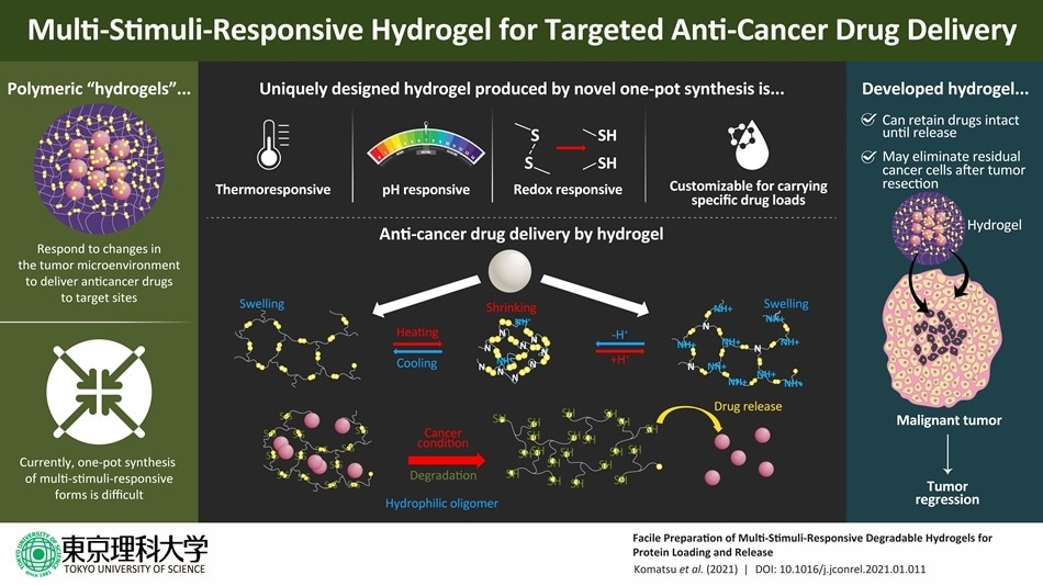 Hydrogels offer new hope for cancer treatment