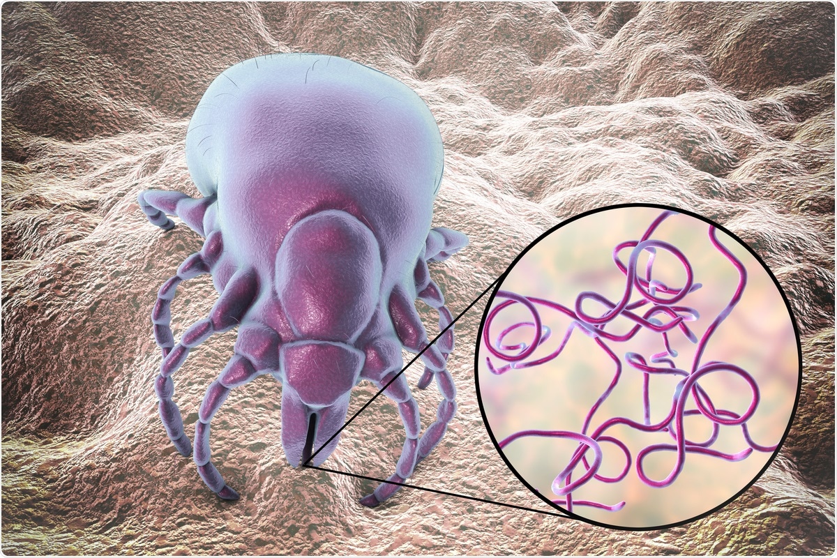 Estudio: Bacterias de la enfermedad de Lyme, burgdorferi del Borrelia, transmitido por la señal del Ixodes, ejemplo 3D. Haber de imagen: Kateryna Kon/Shutterstock