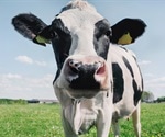 Could cow's milk provide some passive immunity against COVID-19?