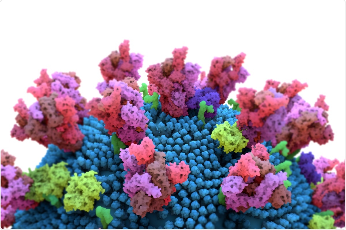 El estudio: la base estructural para la neutralización del virus sarcoide amplio por un anticuerpo monoclonal humano.  Haber de imagen: Design_Cells / Shutterstock