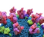 Researchers discover a new monoclonal antibody that is effective against SARS-CoV-2 variants