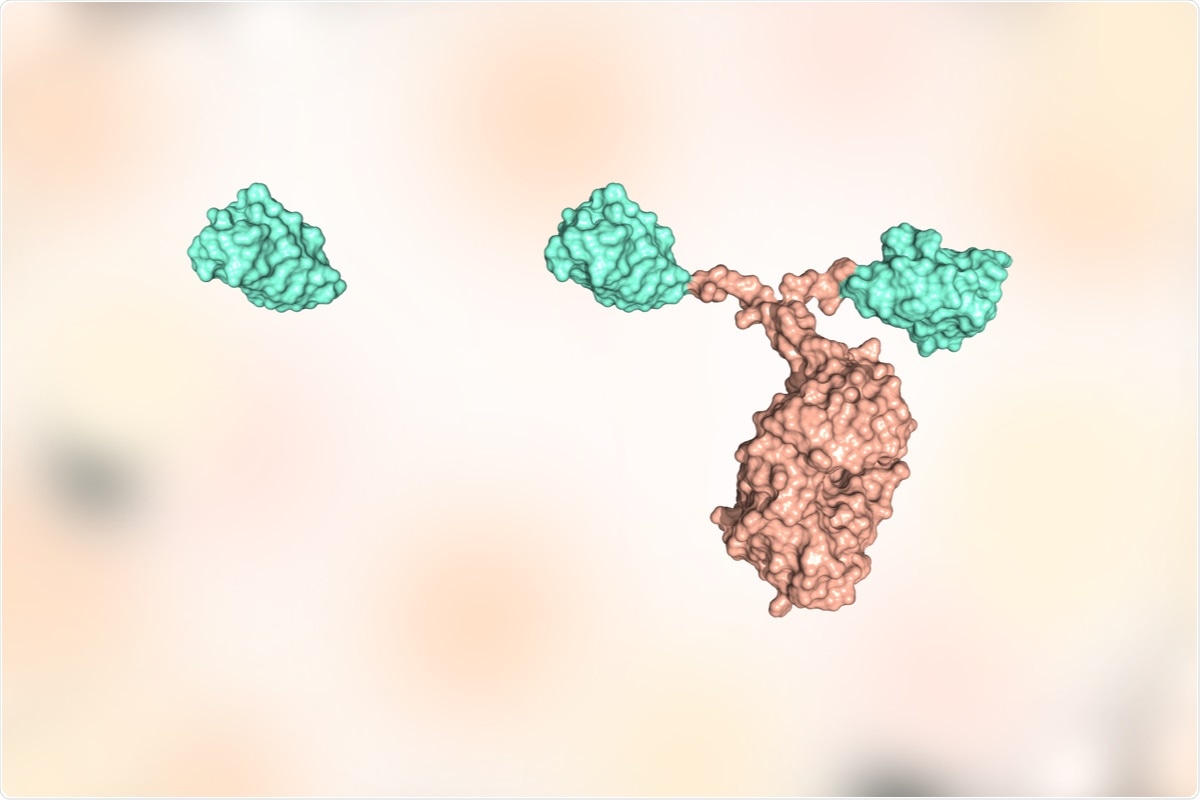Study: Computational Design and Modeling of Nanobodies toward SARS‐CoV‐2 Receptor Binding Domain. Image Credit: Huen Structure Bio / Shutterstock