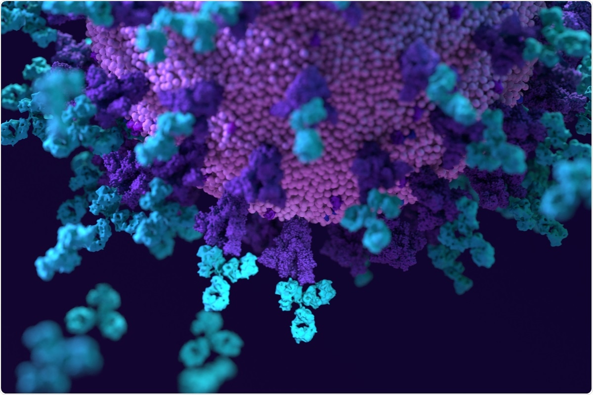 Study: Broad cross-reactivity across sarbecoviruses exhibited by a subset of COVID-19 donor-derived neutralizing antibodies. Image Credit: Design_Cells / Shutterstock