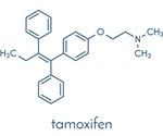 Tamoxifen Mechanism