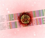 SARS-CoV-2 mutations strengthen RBD-ACE2 binding, making the virus more infectious