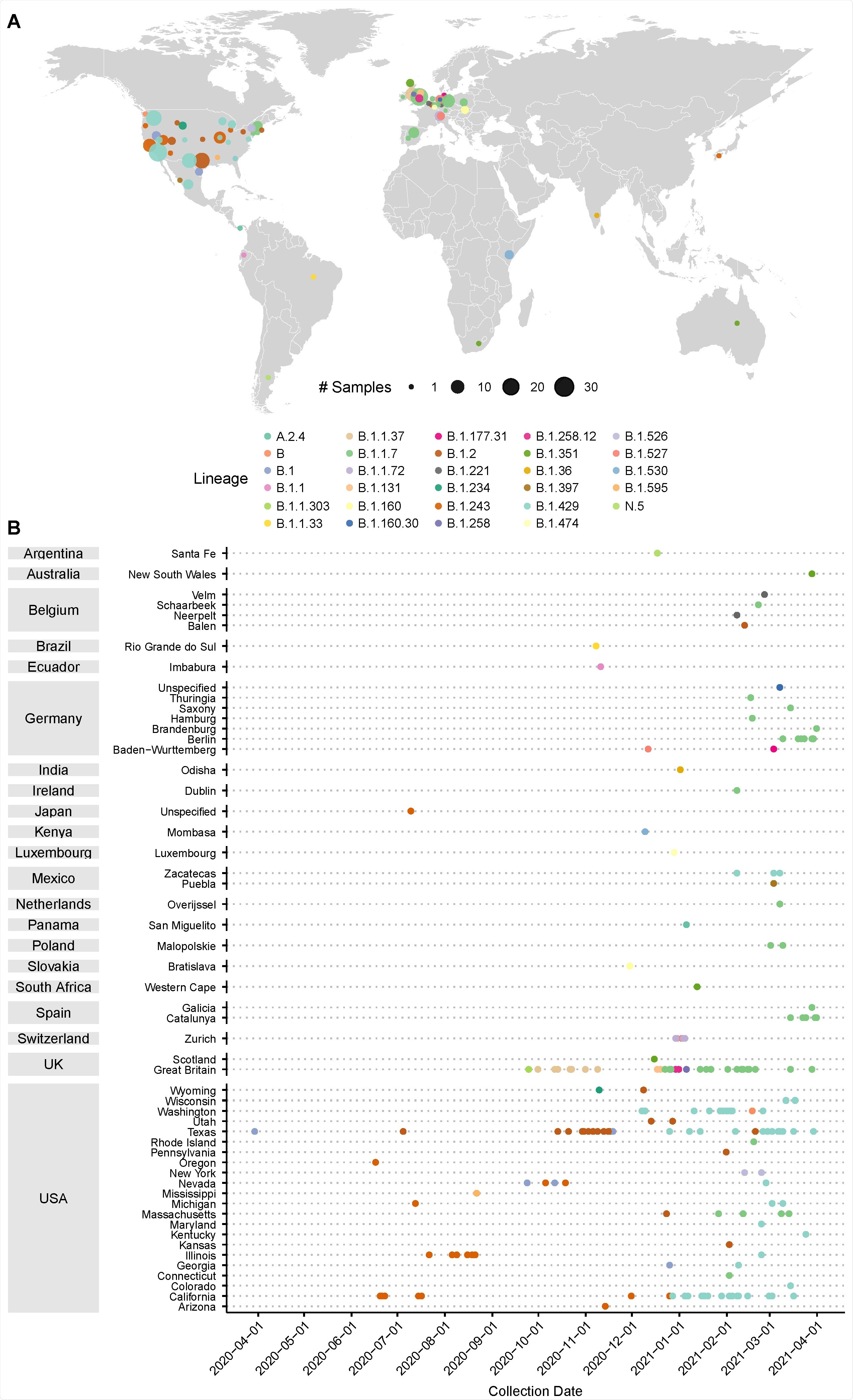 Prevalence of D399N mutations in deposited GISAID consensus sequences. A) Distribution of deposited GISAID genomes with the D399N mutation across the globe. Each dot represents sequences in a GISAID-defined subregion, with area of the dot proportional to the number of sequences. Dots are colored by PANGO lineage. B) Distribution of deposited GISAID genomes with the D399N mutation over time. Countries and subregions are indicated on the left. Each dot represents a unique deposited sequence, colored by PANGO lineage.