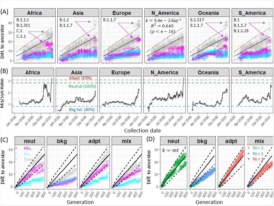 Synonymous and non-synonymous divergence rate of SARS-CoV-2 genomes