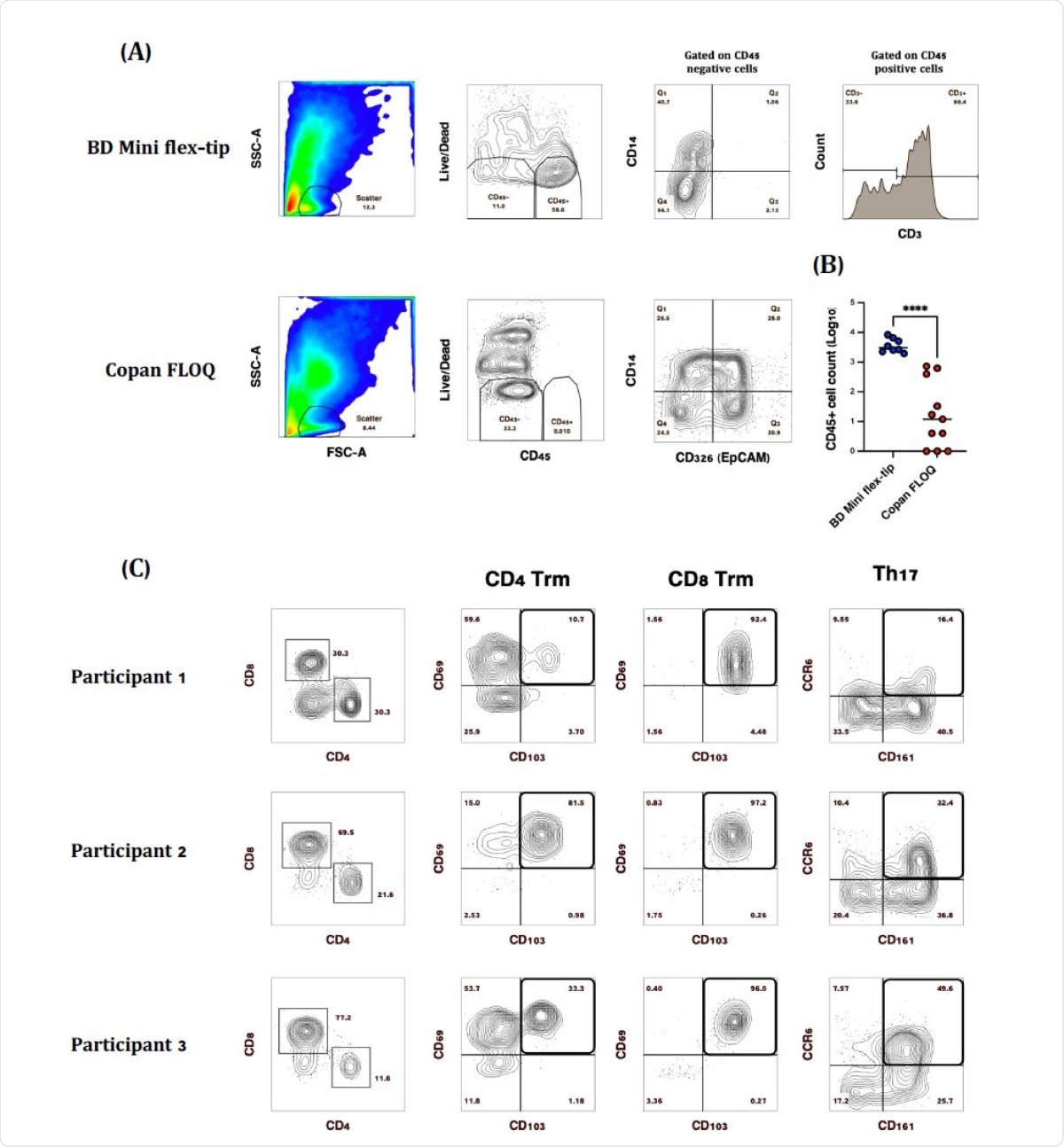 Comparison of SARS-CoV-2 diagnostic testing nasopharyngeal (NP) swabs for immune cell recovery. Representative plots of CD45+ nasal immune cells isolated from (A) BD Mini Flex-tip swabs, majority of which (~40-90%) were CD3+ and Copan FLOQ swabs from which epithelial (CD326 (EpCAM+) cells were the main cell type recovered. (B) Swab brand comparison of CD45+ immune cell recovery. (C) Representative plots of CD3+ T cell subsets isolated from BD Mini-tip flexible swabs. Majority of CD4+ and CD8+ T cells were Trm based on the expression of CD69 and CD103, while 16-50% of CD4 T cells were Th17 based on the expression of CD161 and CCR6. (****P>0.0001)