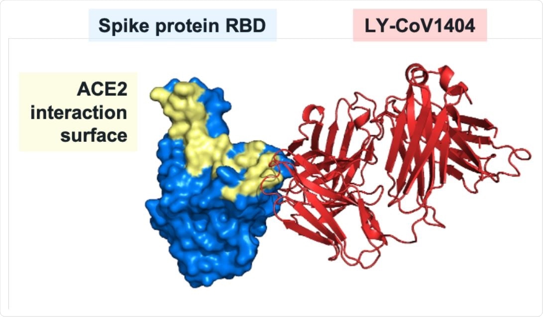 Structural analysis of LY-CoV1404 binding to RBD. Three-dimensional structure of the Fab portion of LY-CoV1404 bound to the spike protein receptor-binding domain.