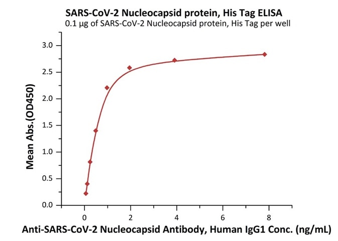 N Protein Variants and Their Importance in Antibody Test and Design