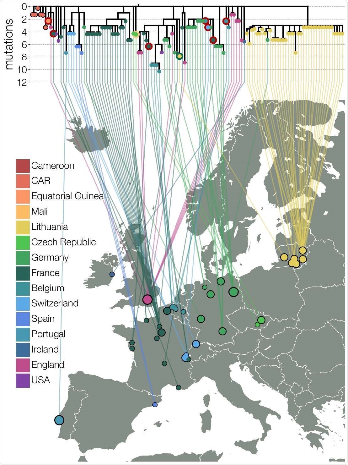 Árbol de la toda probabilidad del linaje B.1.620 en Europa. Lazos entre los genomas B.1.620, coloreados por el país de origen (lo mismo que el cuadro 1) con un contorno coloreado más grueso que indica el país de origen para los estuches de viaje. Por lo menos siete genomas mostrados (las muestras cerco en Bélgica, Suiza, Francia, y Guinea Ecuatorial) son de los individuos que volvieron del Camerún, uno son de hojas de ruta (traveler) que vuelven de Malí y de un caso lituano vueltos de Francia. Los genomas del VEHÍCULO y de Czechia (hojas de ruta (traveler) de vuelta de Malí) se descienden del genotipo original B.1.620, mientras que el genoma de la Guinea Ecuatorial está ya estrechamente vinculado a los genomas encontrados en Reino Unido y suceso ser un estuche de viaje del Camerún. Cada genoma se conecta con la situación geográfica disponible en Europa con los círculos más pequeños que indican la precisión del municipio-nivel, la talla intermedia correspondiente a la información del nivel del condado (centrada en capital del condado) y las tallas más grandes del círculo que indican la información del nivel de país (centrada en capital del país).
