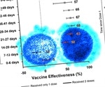 Report on the effectiveness of mRNA-1273 and BNT162b2 COVID-19 vaccines in Canada