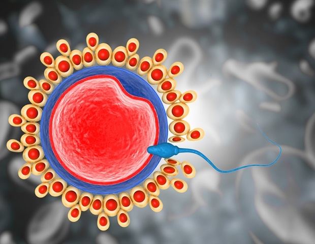 Study reveals no negative effect of SARS-CoV-2 BNT162b2 vaccination on male fertility