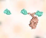 Competitive multiplex binding assay can monitor SARS-CoV-2 immune responses using  nanobodies