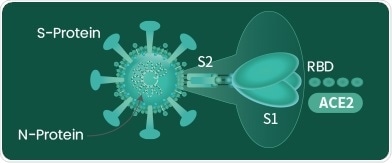 Novel coronavirus (SARS-CoV-2) reagents for research