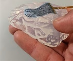 New hydrogel-based electrodes snugly conform to the body’s myriad shapes