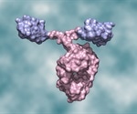 Nanobodies from nanomice and llamas show potent neutralizing activity against SARS-CoV-2 variants