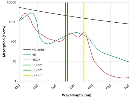 Absorption of hemoglobin and eye melanin depending on photon wavelength. 527 nm, 532 nm, and 577 nm are laser emission wavelengths corresponding to typical commercial lasers employed in retinal photocoagulation.