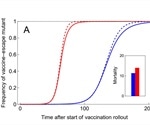 Strategies against the development of SARS-CoV-2 vaccine escape mutants