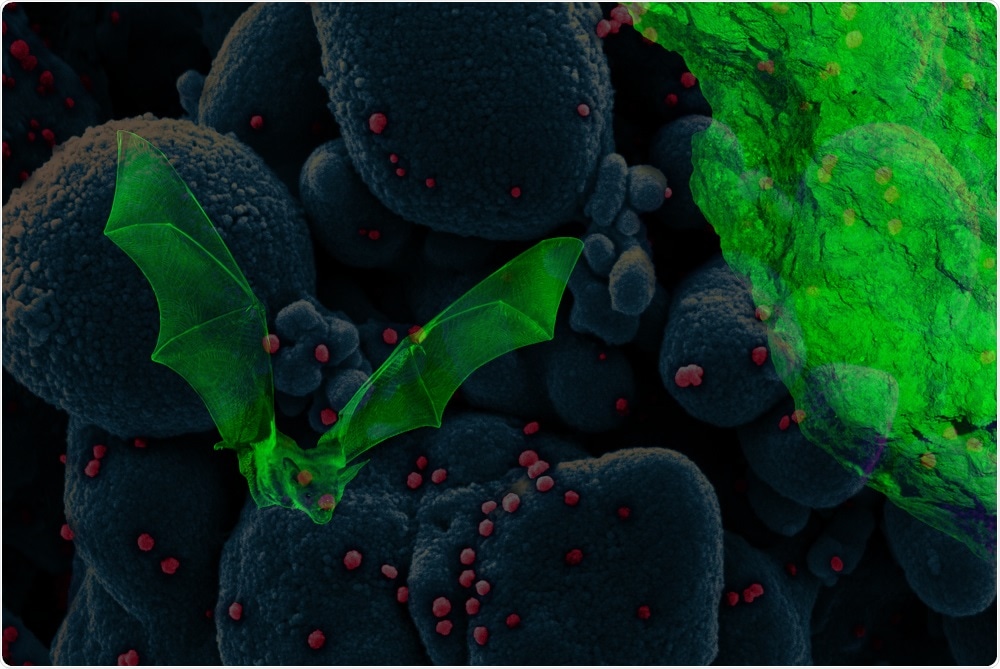 Study: Spike mutation T403R allows bat coronavirus RaTG13 to use human ACE2. Image Credit: FJAH /  Shutterstock