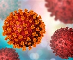 Can immunity form and interaction with seasonal coronaviruses influence SARS-CoV-2 epidemiology?