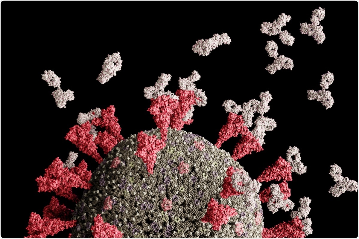 Estudio: Las variantes emergentes SARS-CoV-2 de la preocupación evaden inmunorespuestas humorales de la infección y de la vacunación. Haber de imagen: Leo Altman/Shutterstock