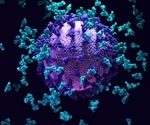 Study observes increased breadth of SARS-CoV-2 antibody neutralization acquired over one year