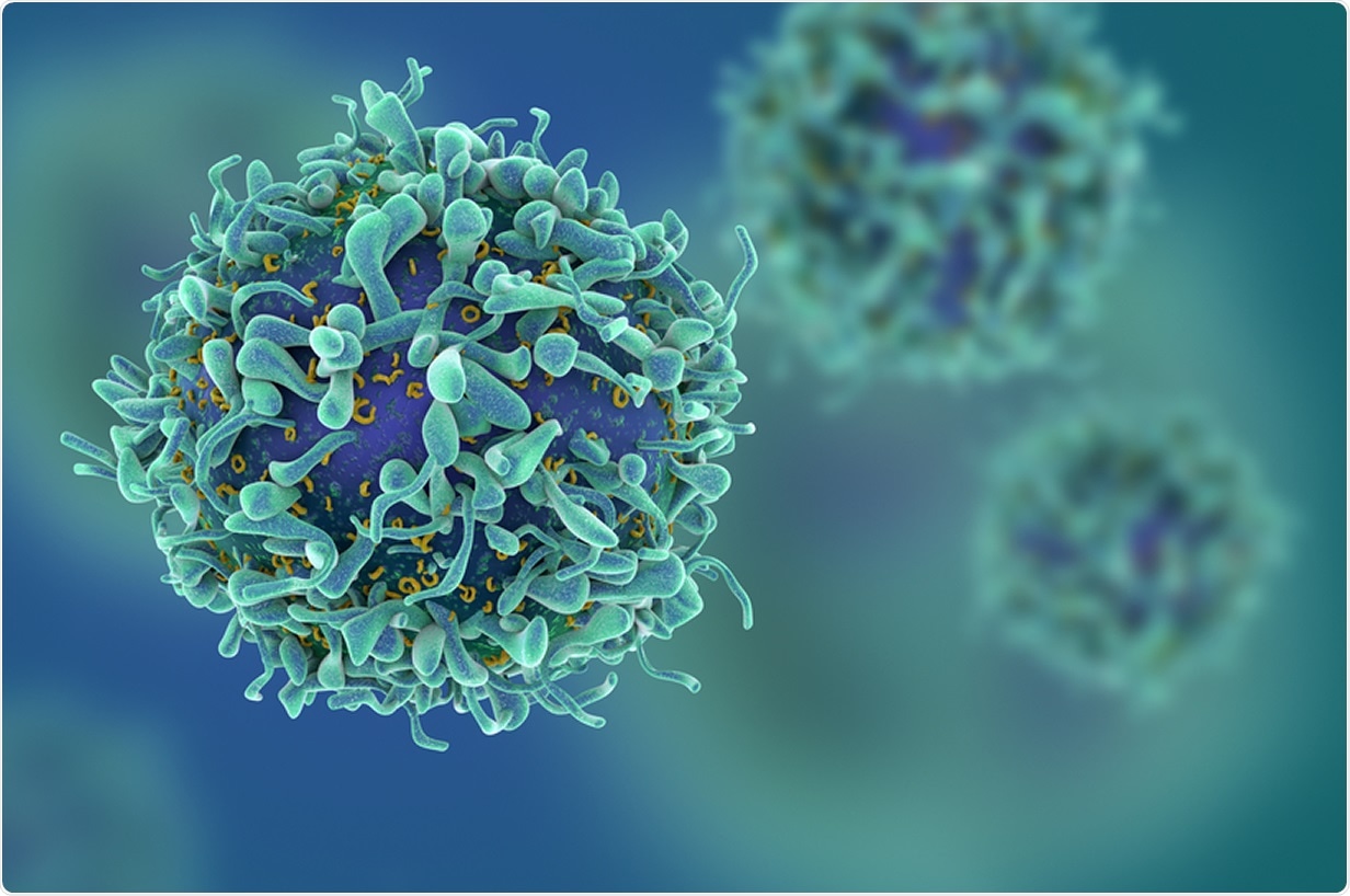 Study: T-cell mediated immunity after AZD1222 vaccination: A polyfunctional spike-specific Th1 response with a diverse TCR repertoire. Image Credit: fusebulb / Shutterstock