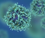 Oxford-AstraZeneca COVID-19 vaccine induces robust T cell-based immunity