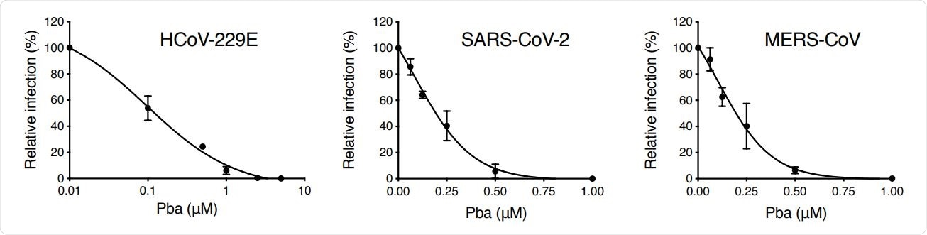 Pba inhibits various HCoVs. Cells were inoculated with HCoV-229E (Huh-7 cells), SARS-CoV-2 (Vero-E6 cells) and MERS-CoV (Huh-7 cells) in presence of various concentrations of Pba. At 1 h p.i, cells were washed and fresh compounds were added to the cells for 9 h (HCoV-229E) or 16 h (SARS-CoV-2 and MERS-CoV) and the supernatants were collected for infectivity titration. Results are expressed as mean ± SEM of 3 experiments.