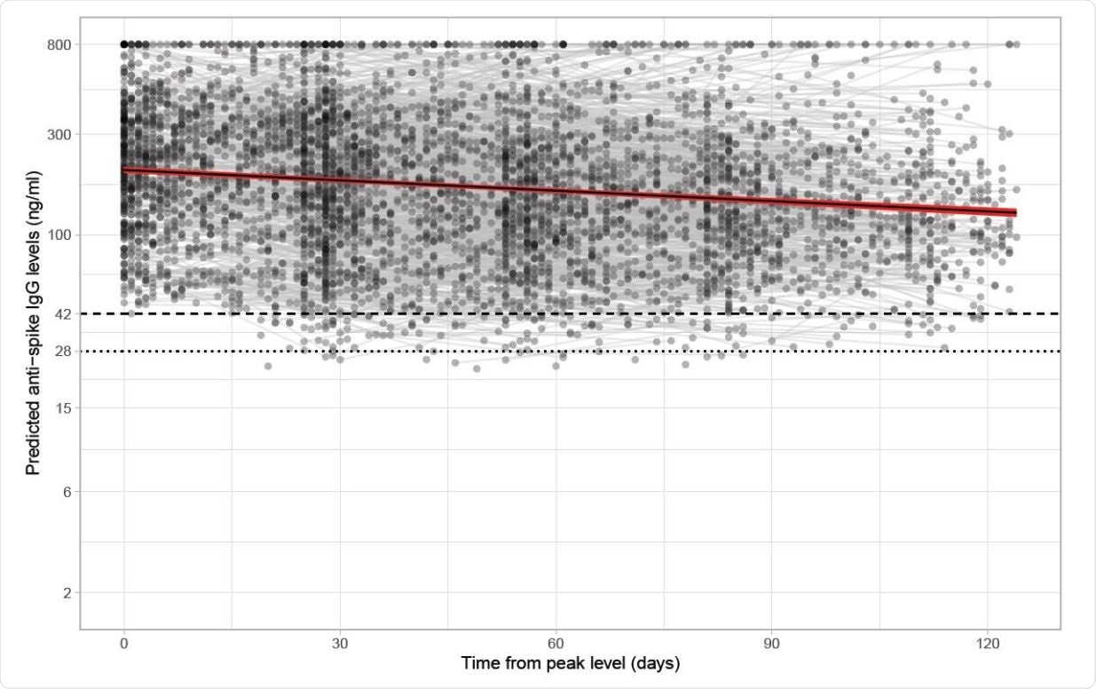 Estimated mean trajectory of anti-spike IgG antibody levels and individual trajectories in 3,271 participants in Class 1. The timing of the peak level 56 days after the first positive swab is determined from the latent class mixed model. The posterior mean and 95% credibility interval are shown with the black line and red shaded area. Black dashed line indicates the assay threshold for IgG positivity (42 ng/ml) and the dotted line at 28 ng/ml indicates level associated with 50% protection against reinfection