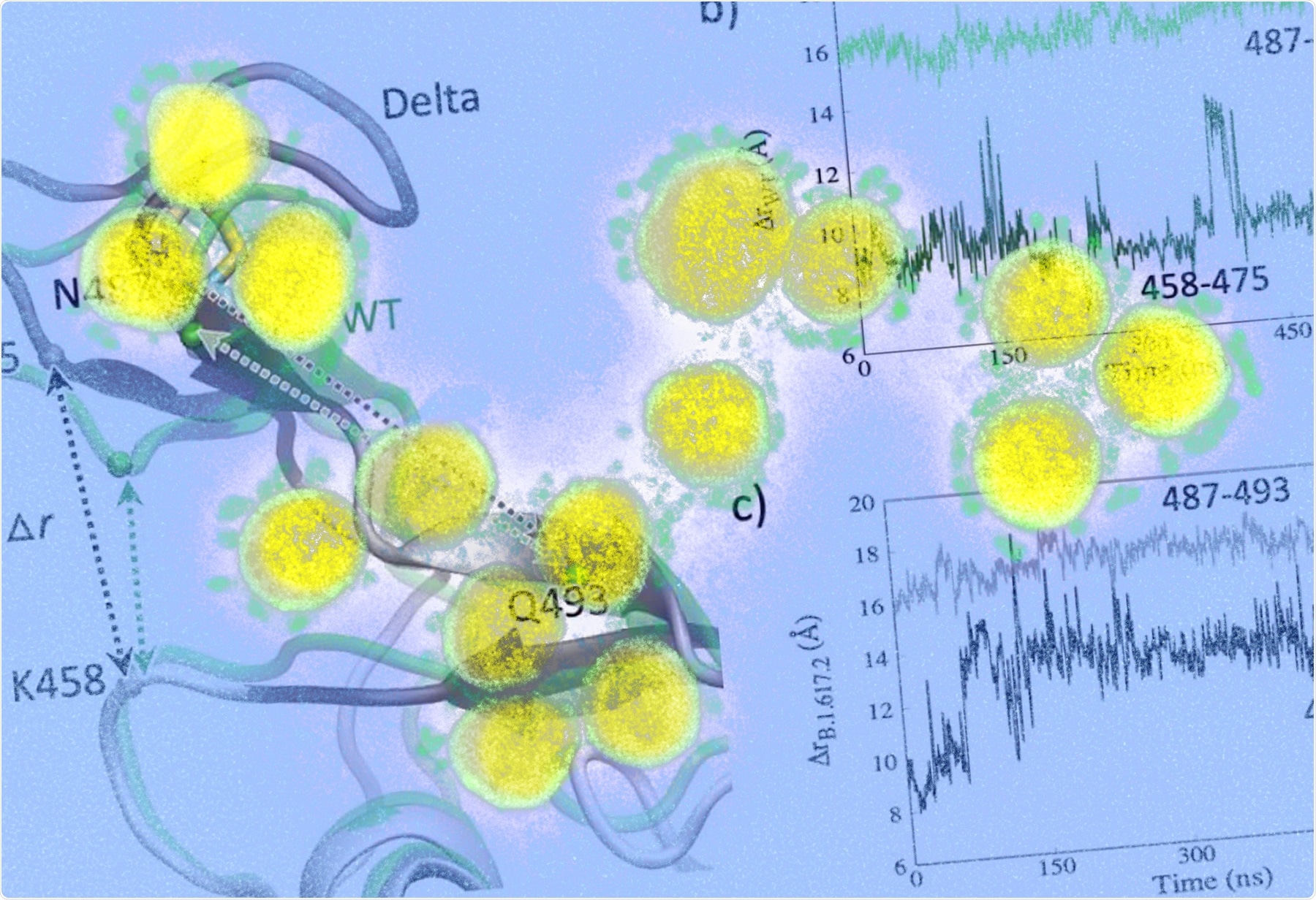 Los cambios estructurales en la interfaz de unión al receptor pueden inducir la aptitud inmunitaria de la variante delta del SARS-CoV-2