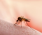 New malaria vaccine is undergoing Phase 1 trials but current results show it provides strong and long-lasting protection