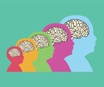 An Overview of Brain Development