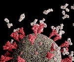 Study examines evolution and avidity of anti-SARS-CoV-2 IgG antibodies after mRNA vaccination