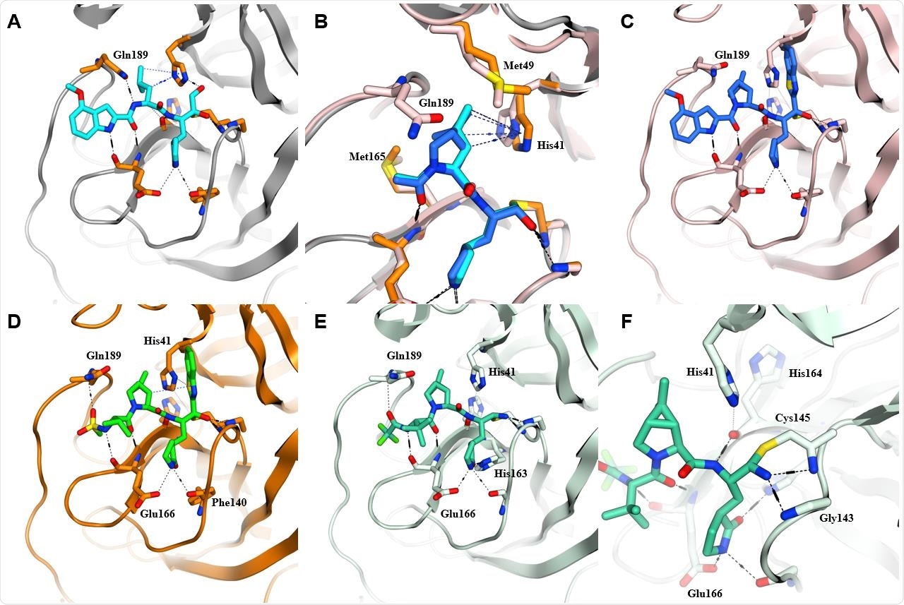 SARS-CoV-2 Mpro structural biology. (A) Key H-bond interactions of PF-00835231 (1). (B) Modelled overlap of dimethyl-bicyclo[3.1.0] proline from compound 3 (blue) as a mimic of P2 leucine residue (cyan) found in the viral polyprotein substrate and 1. This tolerated P2 change eliminates an H-bond donor from resulting inhibitors. (C) Compound 3 effectively fills the lipophilic S2 pocket formed by Met49, Met165, and His41 but productive hydrogen bonding to Gln189 is no longer possible. (D) Compound 4 with optimized acyclic P3 group and restored Gln189 interaction. (E) Binding mode of clinical candidate PF-07321332 (6). A reversible covalent Cys145 adduct is formed with the reactive nitrile in compound 6.