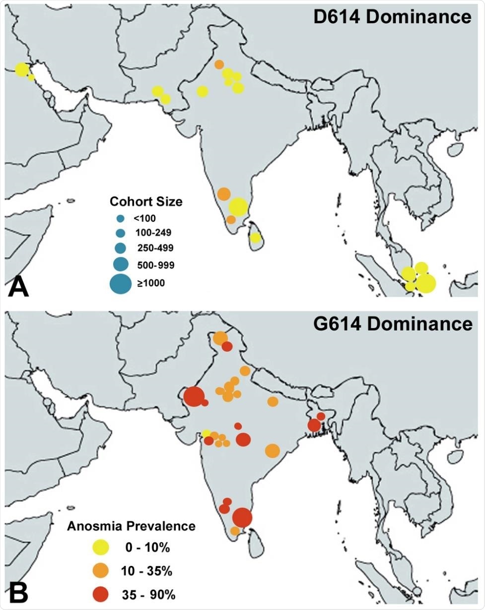 B. Location of studies reporting the prevalence of olfactory dysfunction among South Asians with D614 virus predominance (A), and G614 virus predominance (B). The cohort size is indicated by the size of the blue dots, the prevalence of olfactory dysfunction is indicated by the heat map, increasing from yellow to red. Note that mostly D614 infections lead rarely to a more than 10% anosmia prevalence, while almost all of the mostly G614 infections lead to a prevalence of 10-90%, in the same ethnicity (South Asians).