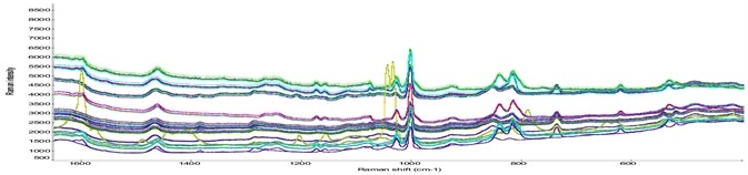 Raman spectra of different classes of drug products.