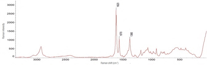 Spectrum of zolpidem tartrate. Obtained with the following instrumental parameters: laser 532 nm – 10 mW, 90 acquisitions of 1 s each.