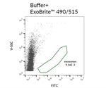 Biotium releases new ExoBrite EV Membrane Staining Kits